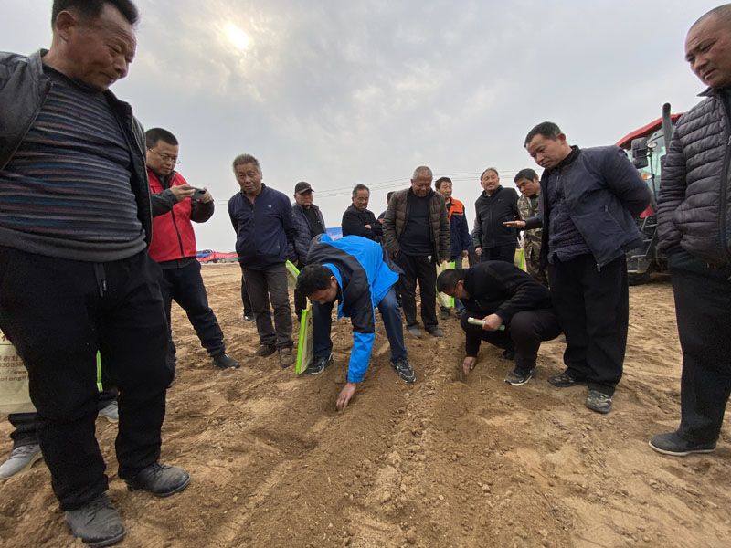 山東奧龍參加陽谷縣高性能播種機(jī)演示現(xiàn)場(chǎng)會(huì)